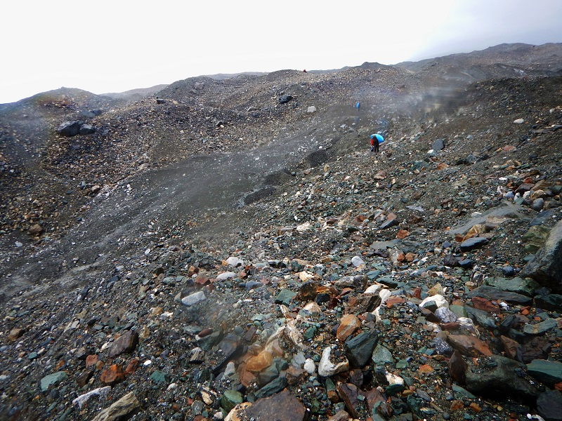 Alsek