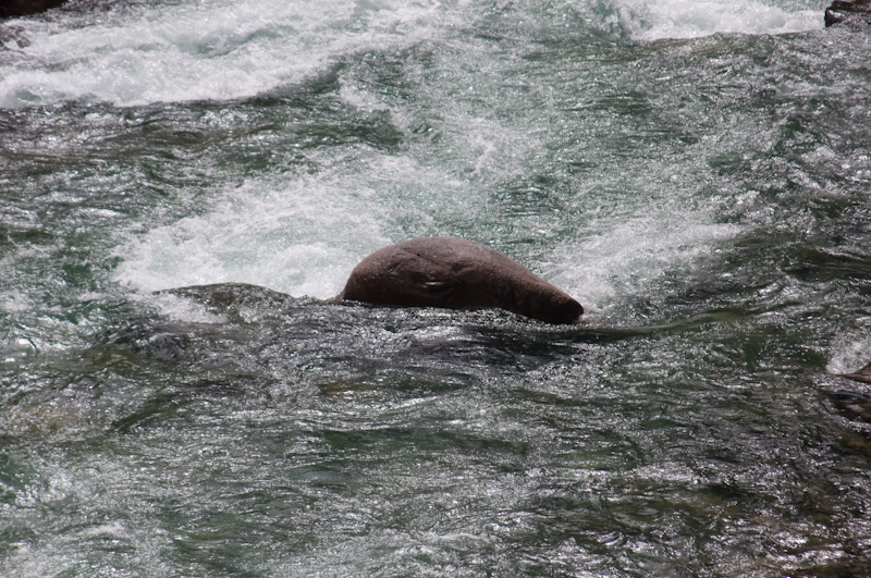 Cayoosh Creek