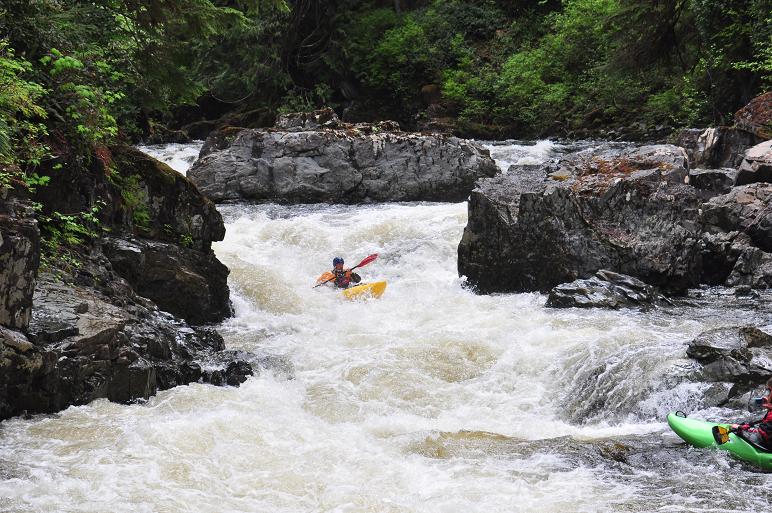 Kokish River