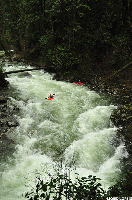 Lynn Canyon