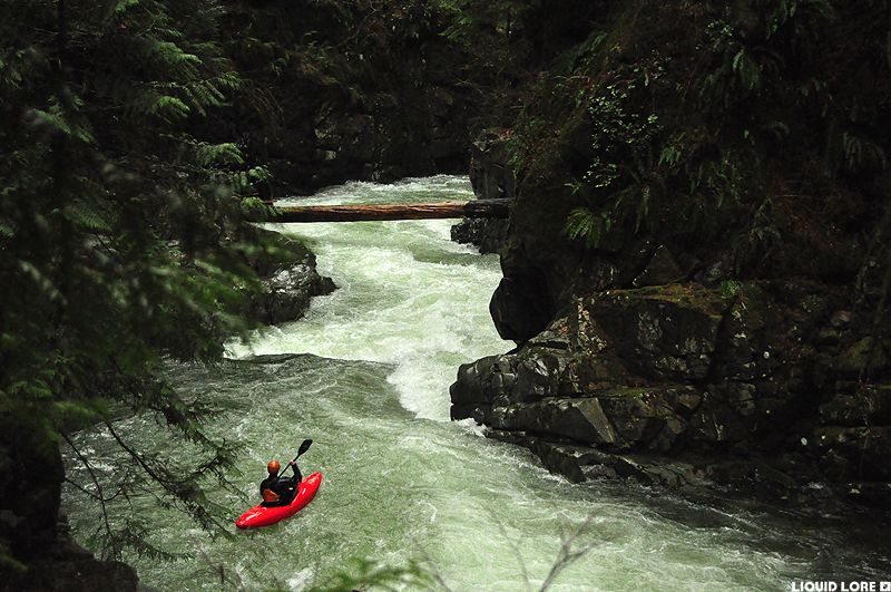 Lynn Canyon