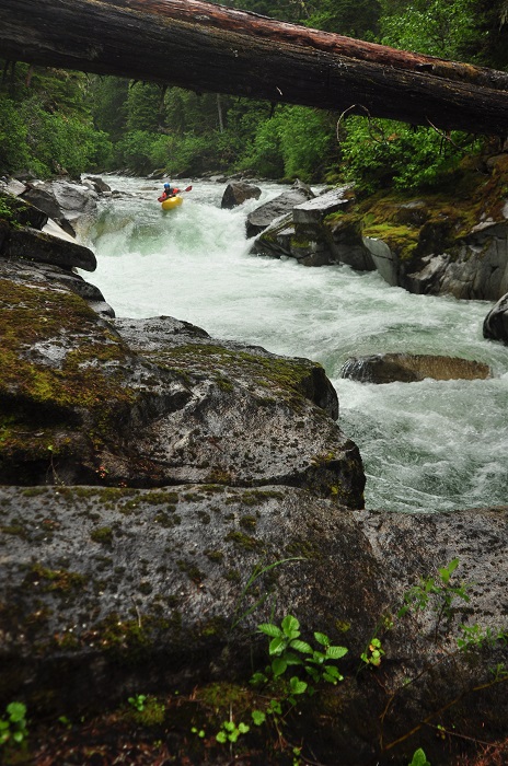 Williams Creek
