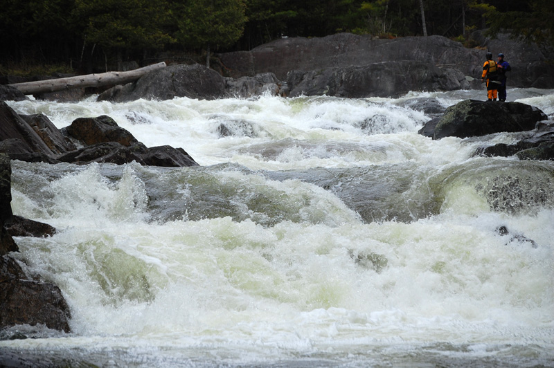 Branch River